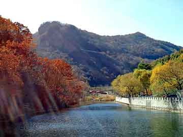 新澳天天开奖资料大全旅游团，强尔脉水疗能量毯